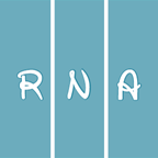 RT-Theme 17